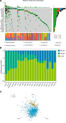 N6-methyladenosine related gene expression signatures for predicting the overall survival and immune responses of patients with colorectal cancer